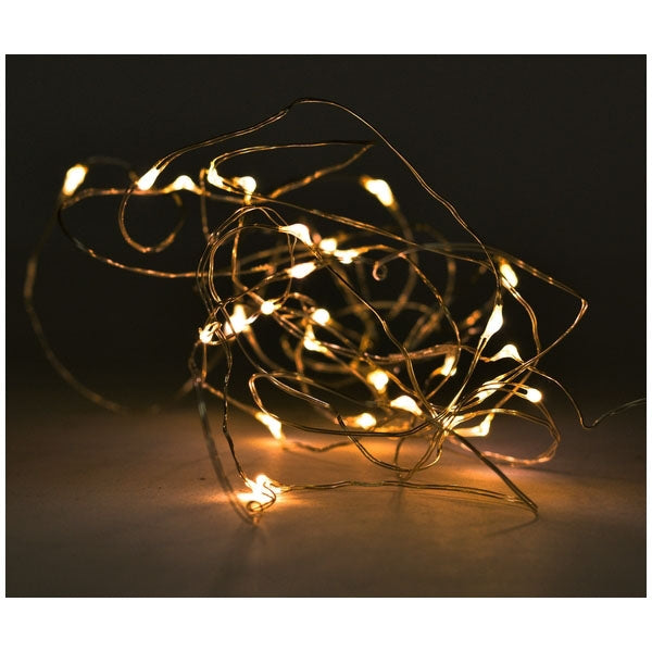 Exner 10er LED Lichterkette für In- und Outdoor