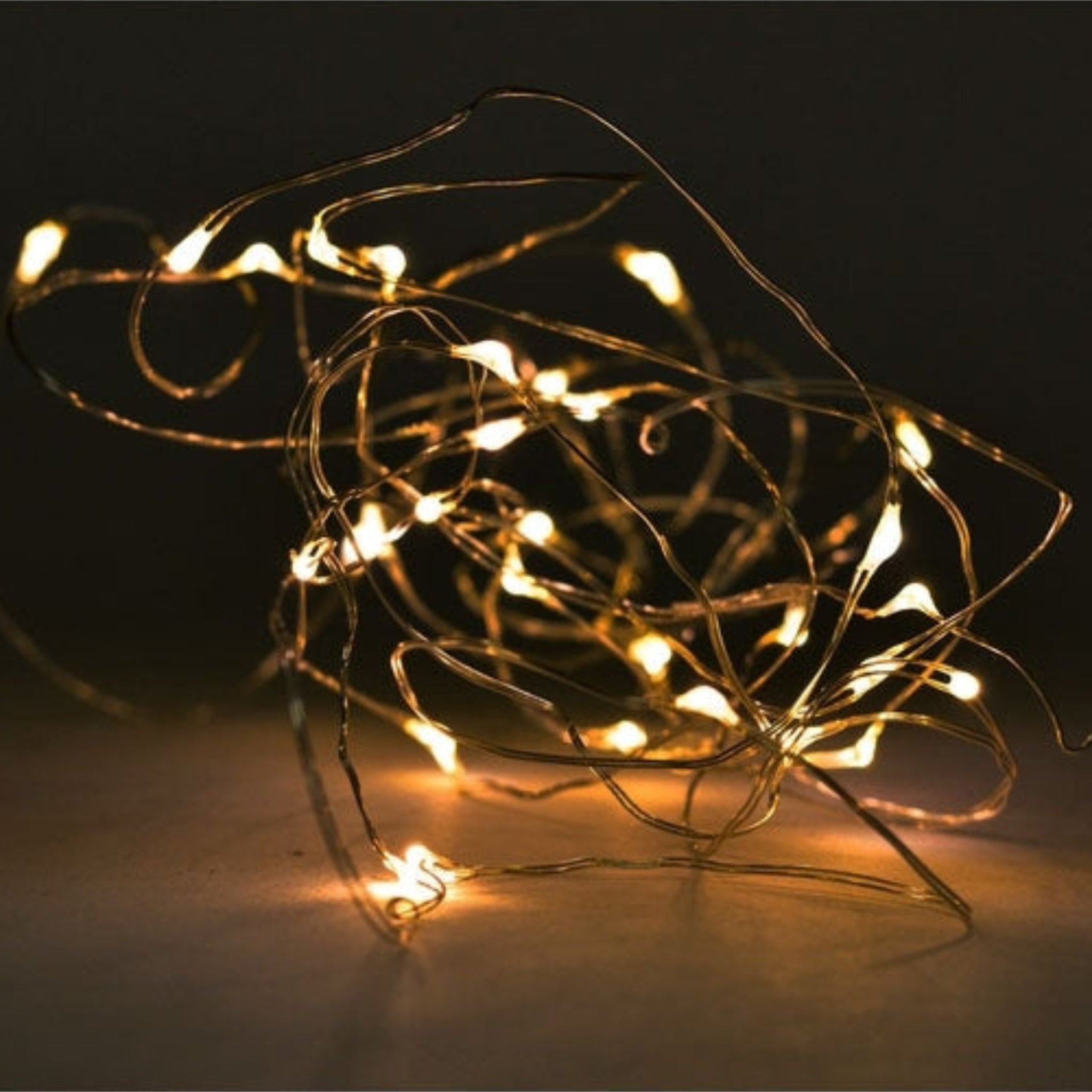 Exner 10er LED Lichterkette für In- und Outdoor