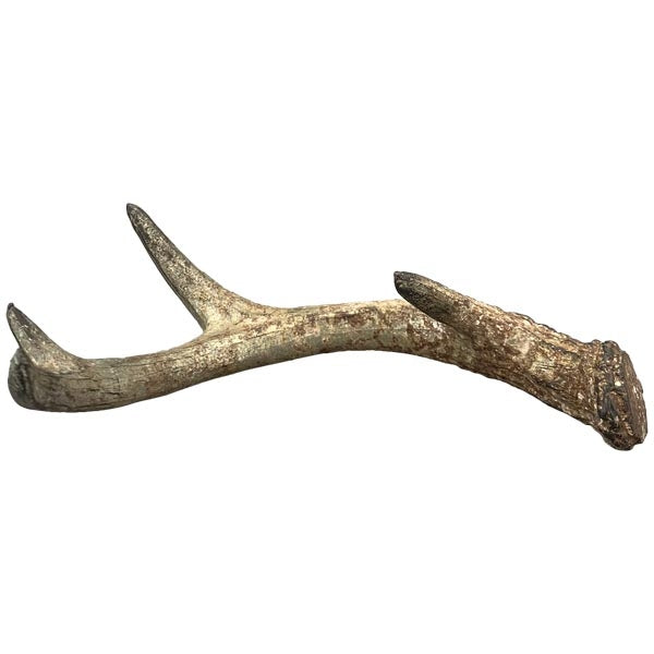 Exner Geweih Lilian braun 23 cm