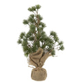 IB Laursen Zeder Bäumchen mit Jute Topf unecht 34 cm H
