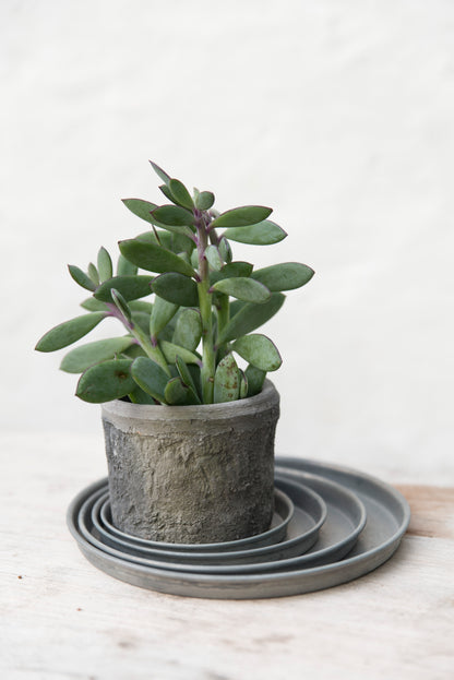 IB Laursen Kerzentablett rund m/Kante Ø 11 cm