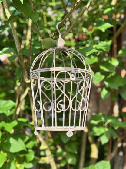 Exner Pflanz Deko Käfige ArtFerro Metall