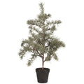 IB Laursen künstlicher Zedernbaum im Topf 60 cm H