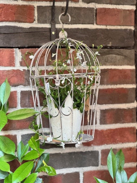 Exner Pflanz Deko Käfige ArtFerro Metall