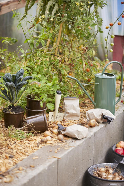 IB Laursen Pflanzschaufel creme