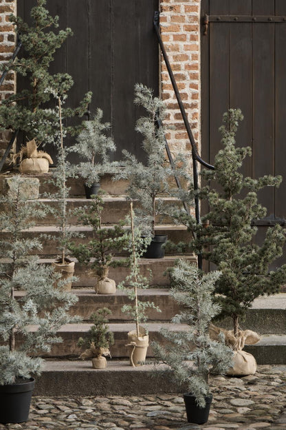 IB Laursen Zeder Bäumchen mit Jute Topf unecht 34 cm H