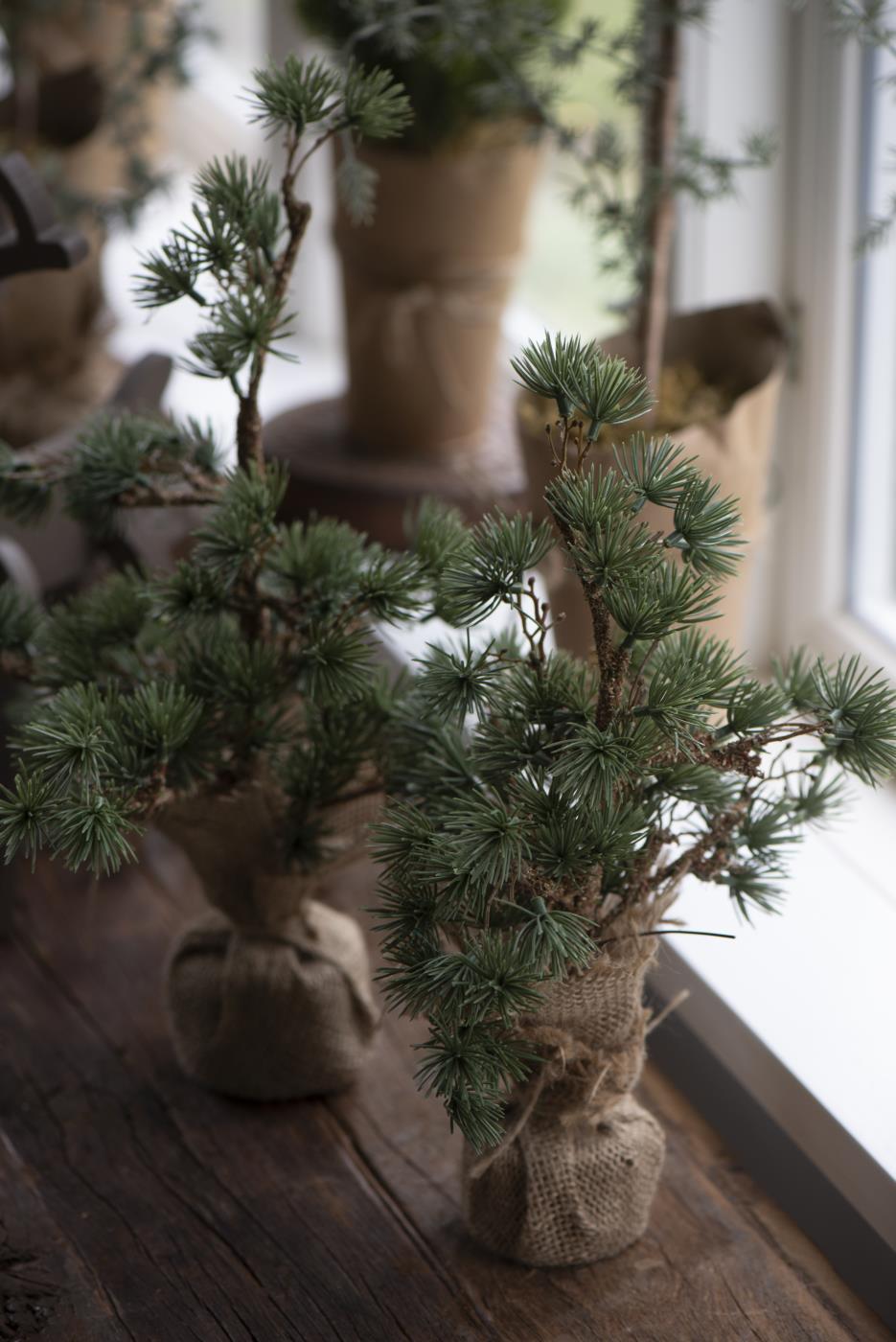 IB Laursen Zeder Bäumchen mit Jute Topf unecht 34 cm H